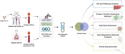 Discovering common pathogenetic processes between COVID-19 and tuberculosis by bioinformatics and system biology approach